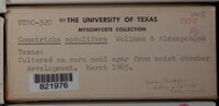 Image Associated With the Occurence